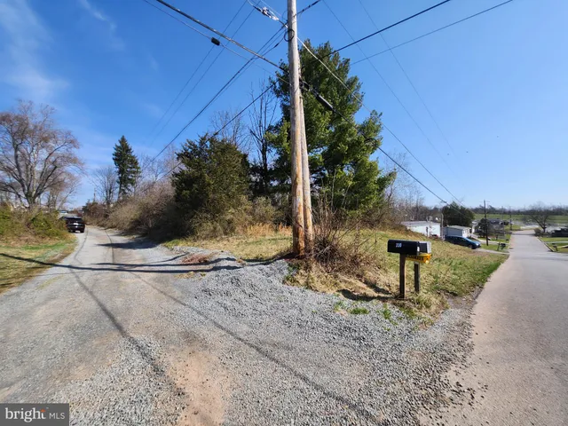 a view of a backyard with plants