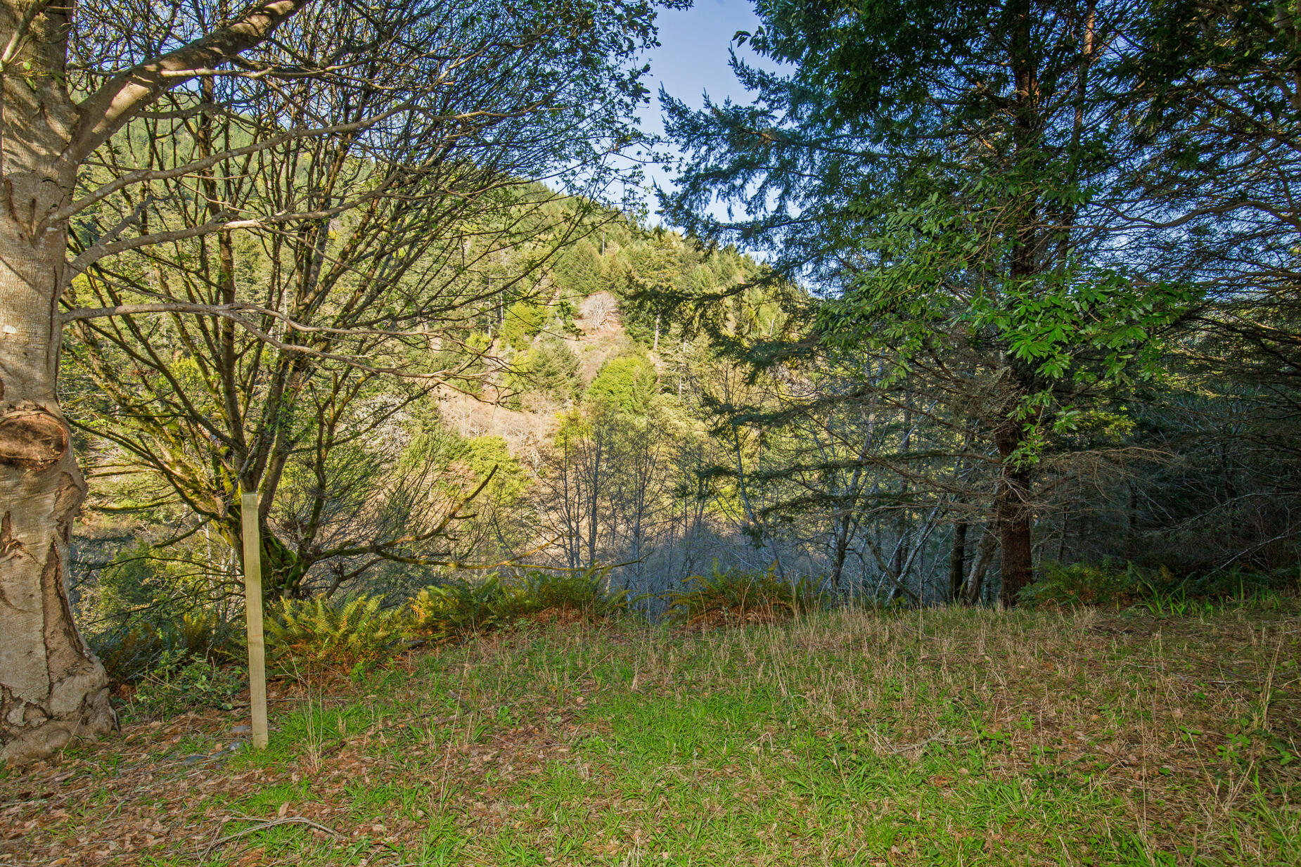 515 Beach Road Shelter Cove, CA 95589 - Photo 20 of 31