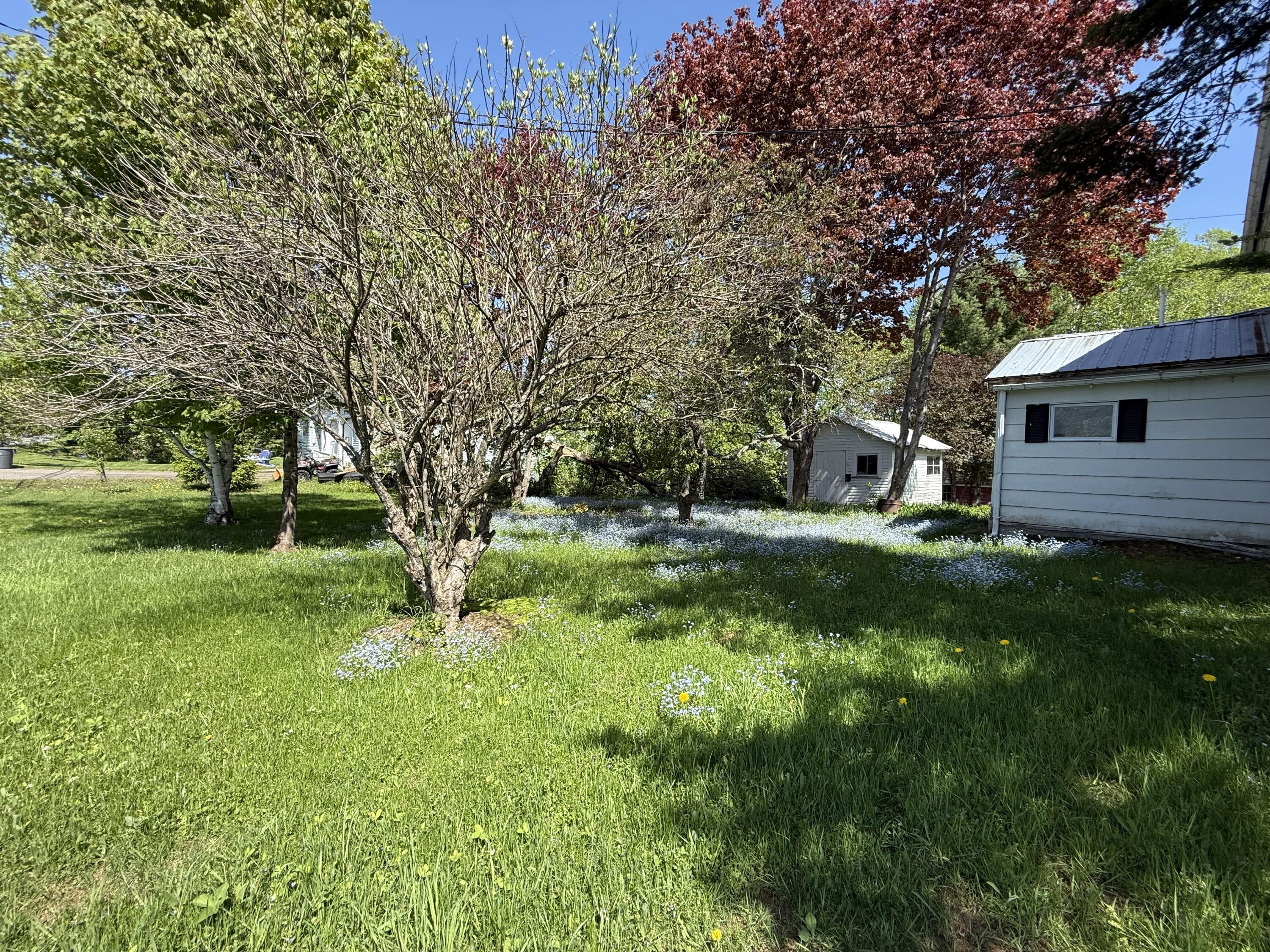 927 Van Buren Road Limestone, ME 04750 - Photo 26 of 40 IMG_0041