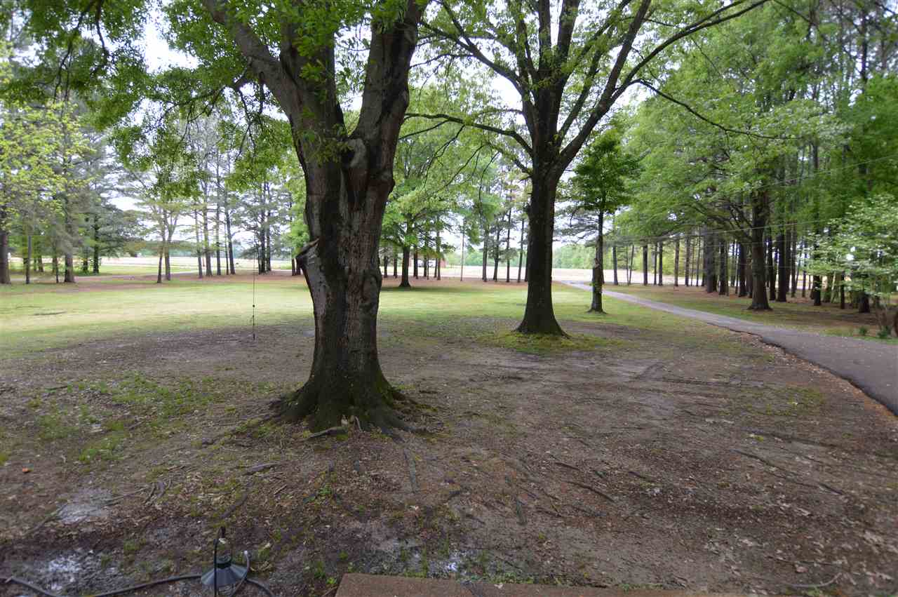 8522 Brunswick Road Millington, TN 38053 - Photo 2 of 25