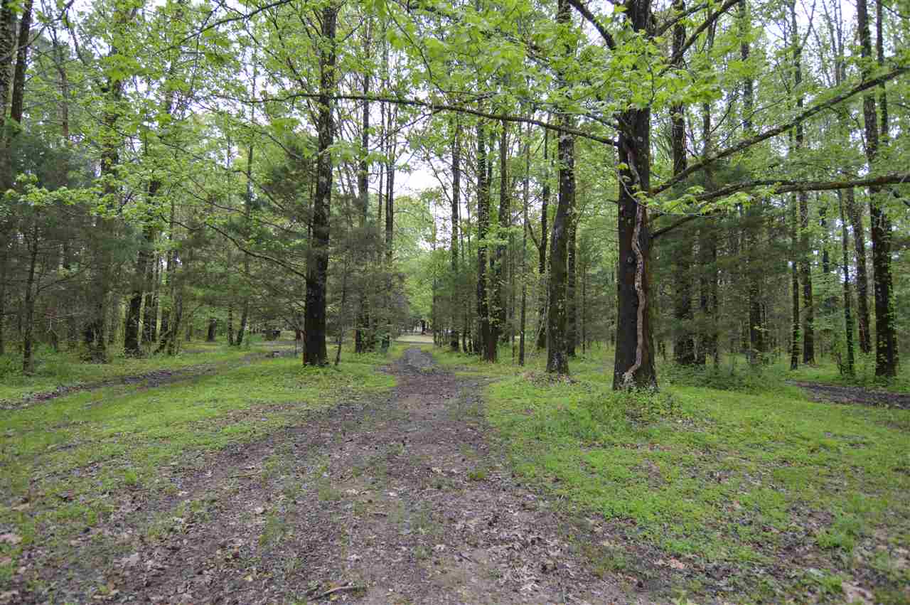 8522 Brunswick Road Millington, TN 38053 - Photo 25 of 25