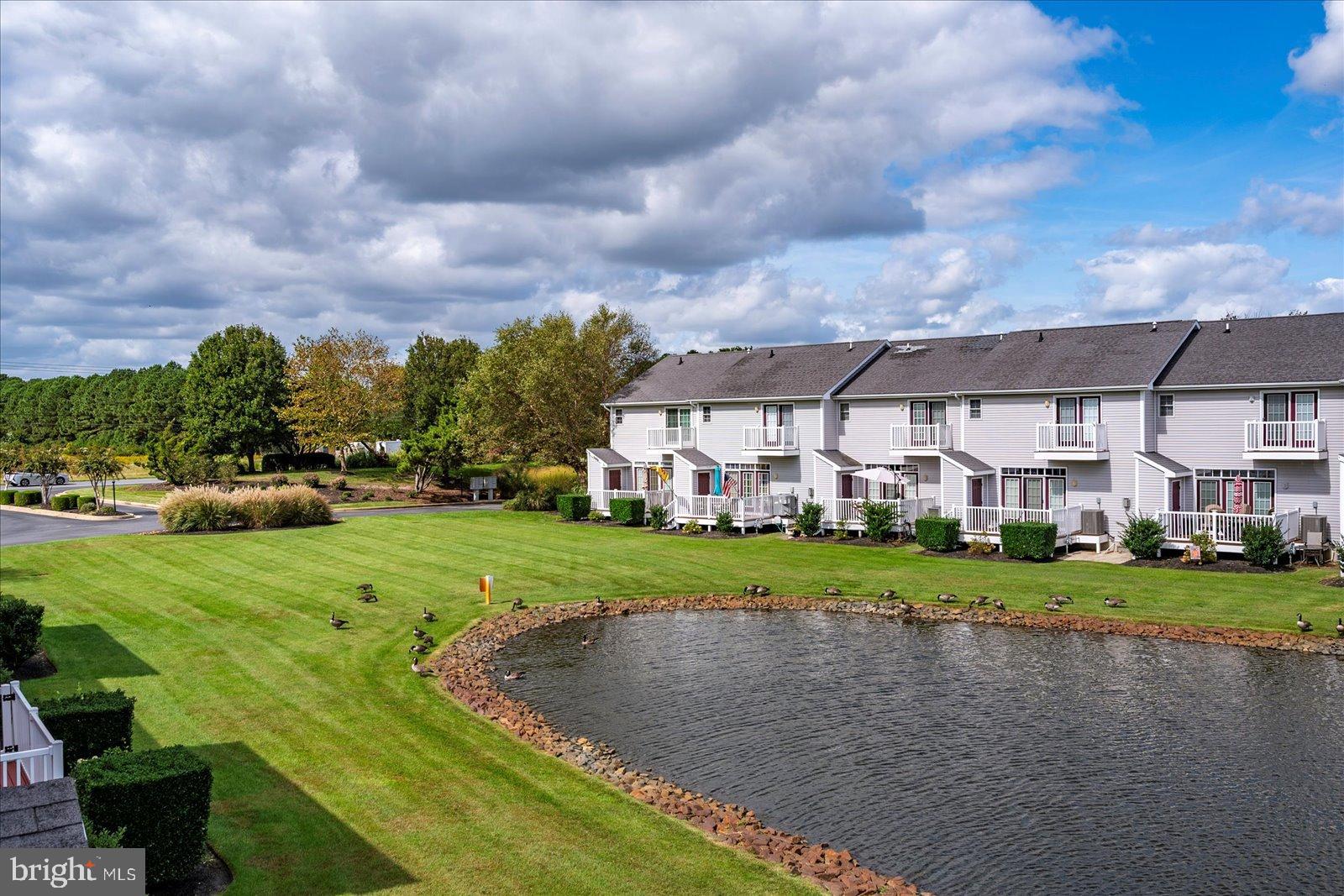 10050 Golf Course Road, Unit 6 Ocean City, MD 21842 - Photo 43 of 60 Serene lakeside living with lush greenery.