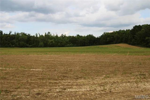 $195,000 | 259 Advance Mo 63730, Chaffee, MO 63740