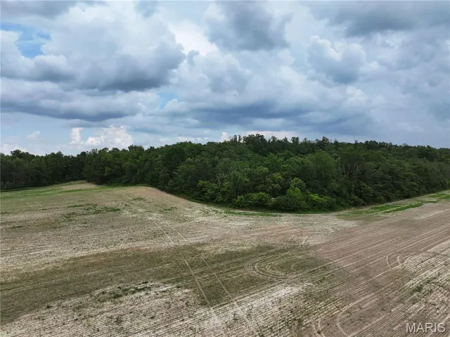 $195,000 | 259 Advance Mo 63730, Chaffee, MO 63740