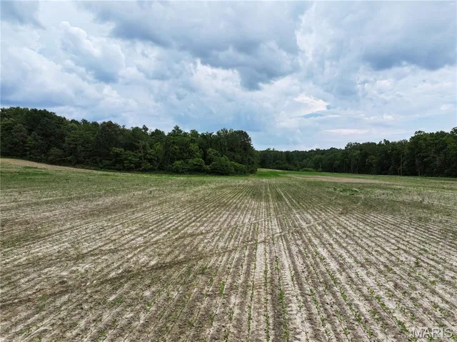 $195,000 | 259 Advance Mo 63730, Chaffee, MO 63740