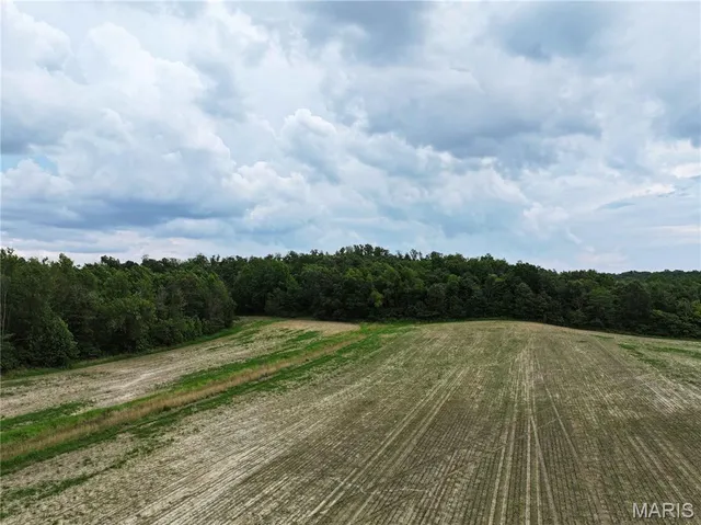 $195,000 | 259 Advance Mo 63730, Chaffee, MO 63740