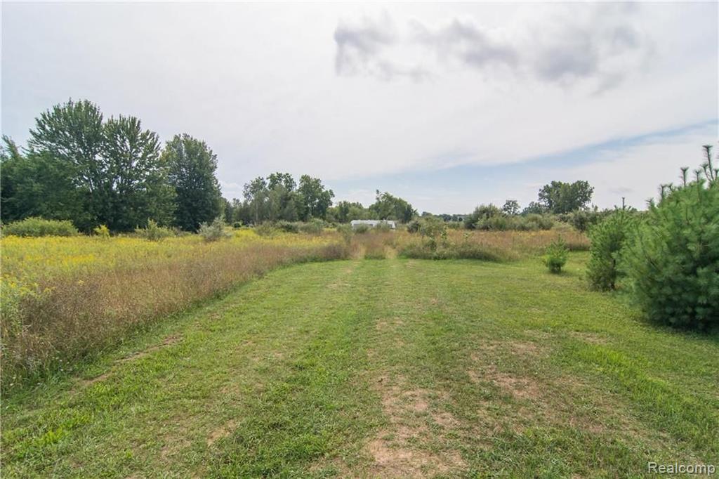 0 South Gregory Road Fowlerville, MI 48836 - Photo 2 of 26
