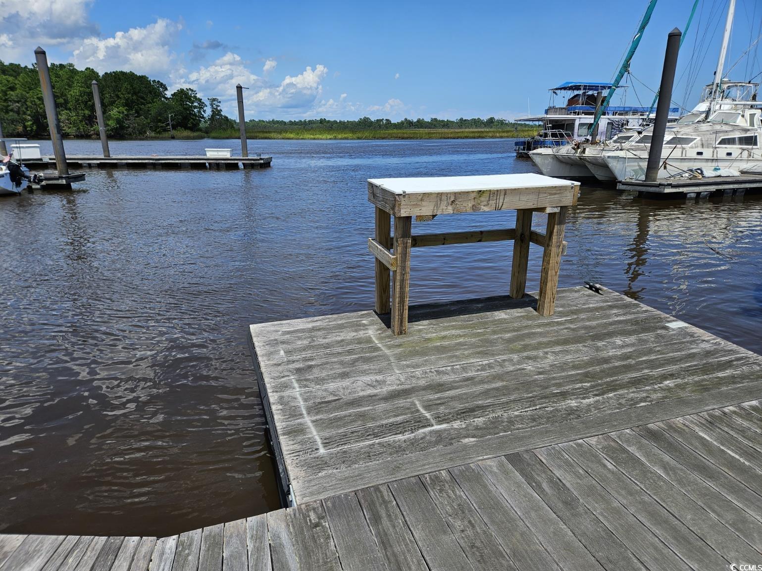 Tbd Bridge View Road Georgetown, SC 29440 - Photo 16 of 26 Dock area featuring a water view