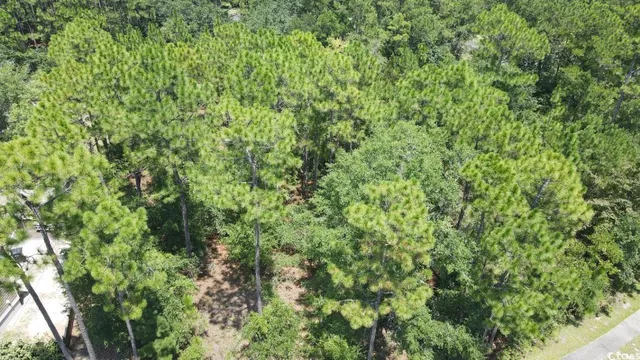 $94,500 | Tbd Bridge View Road, Georgetown, SC 29440