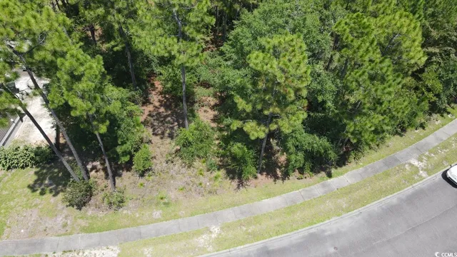 $94,500 | Tbd Bridge View Road, Georgetown, SC 29440