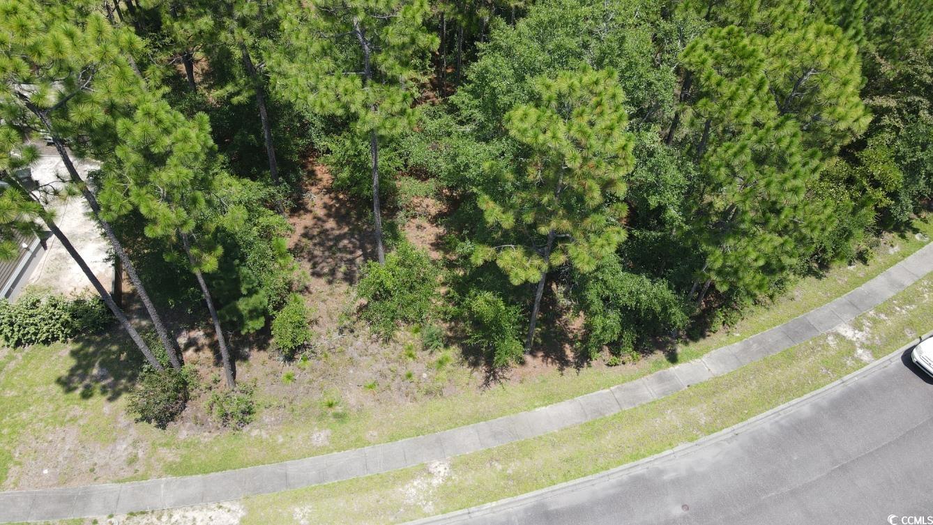 Tbd Bridge View Road Georgetown, SC 29440 - Photo 8 of 26 Drone / aerial view