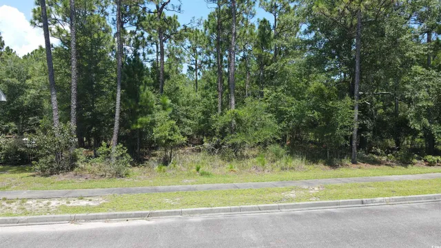 $94,500 | Tbd Bridge View Road, Georgetown, SC 29440
