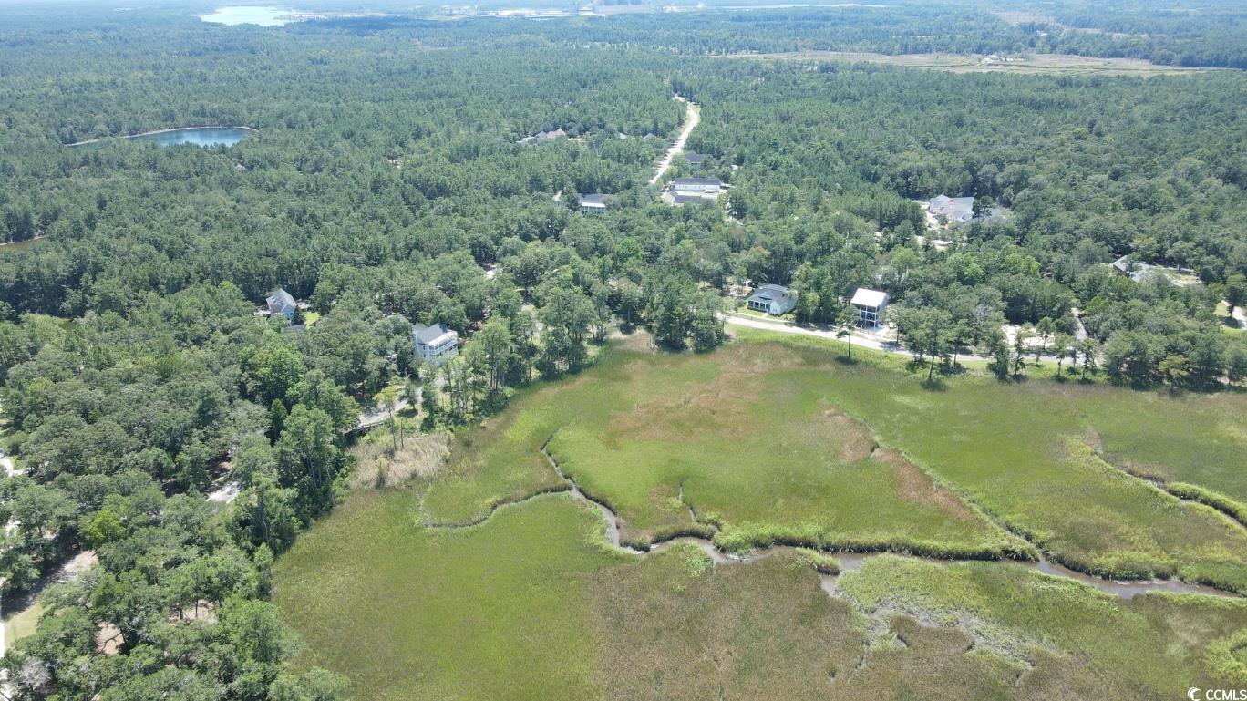 Tbd Bridge View Road Georgetown, SC 29440 - Photo 10 of 26 View of property location featuring a forest and a large body of water