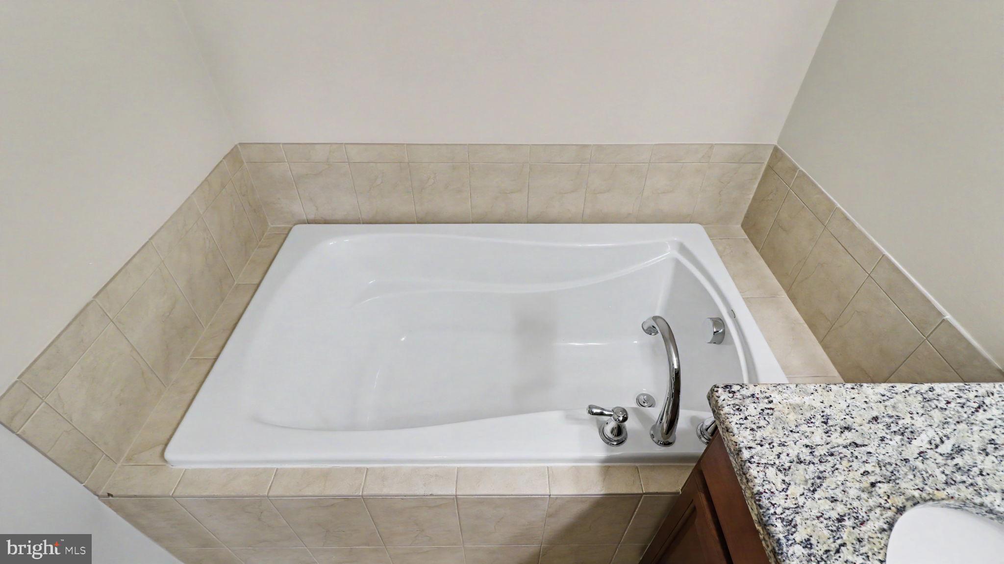 42371 Trellis Square Brambleton, VA 20148 - Photo 39 of 70 Serene soaking tub for relaxation.