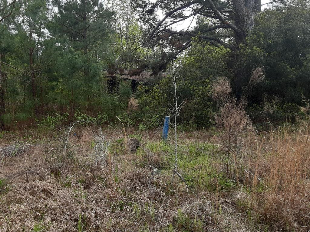 257 Gass Road Cordova, SC 29039 - Photo 4 of 4 Photo 4