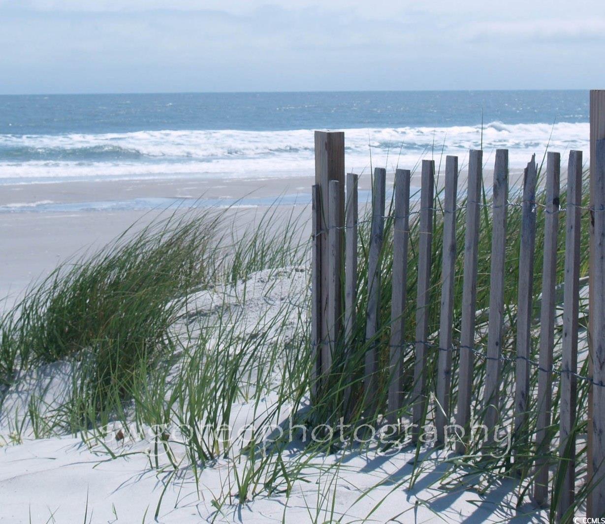 29 Crooked Island Circle Murrells Inlet, SC 29576 - Photo 34 of 36
