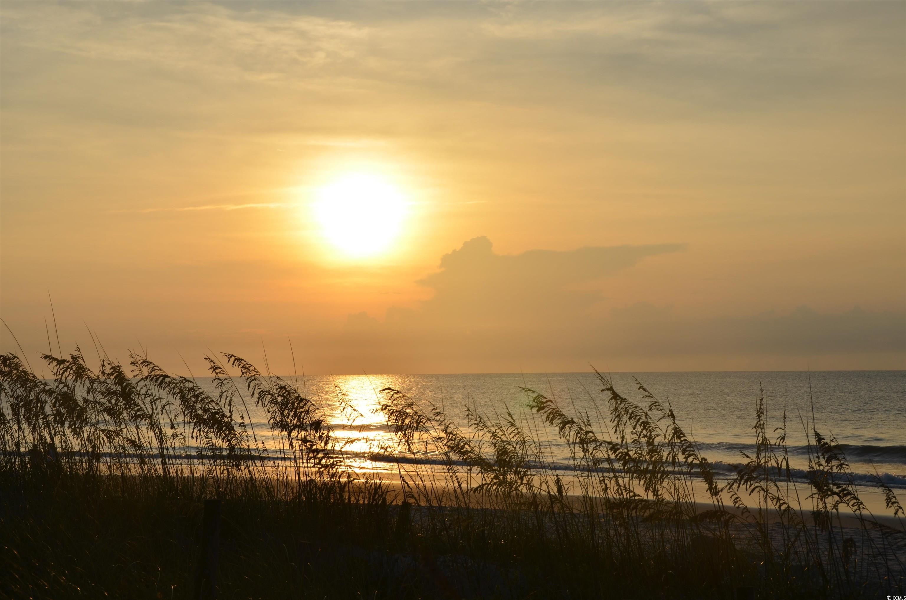 29 Crooked Island Circle Murrells Inlet, SC 29576 - Photo 35 of 36