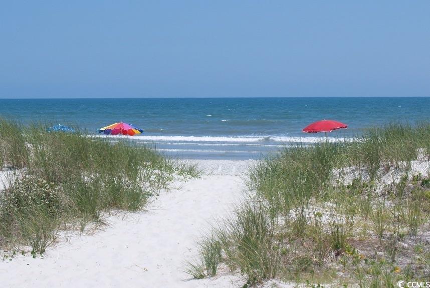 29 Crooked Island Circle Murrells Inlet, SC 29576 - Photo 36 of 36