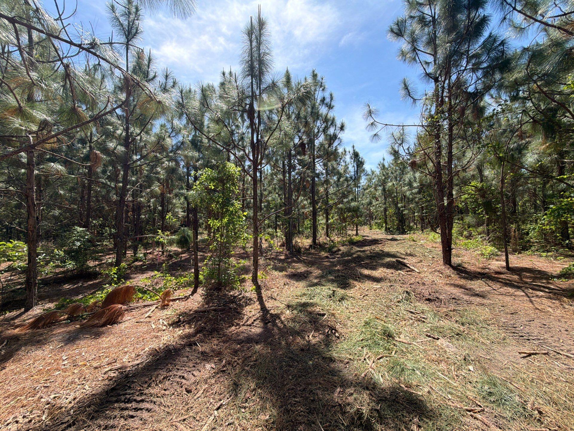 7 Holstein Road, Unit HRF 7 Wagener, SC 29164 - Photo 1 of 12 Gallery Image 1