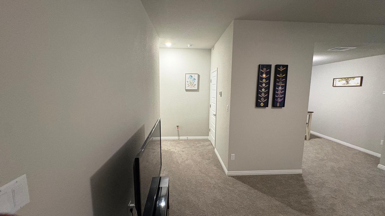 6511 Dragride Road Buda, TX 78610 - Photo 28 of 36 A well-lit hallway with plush carpeting provides access to additional living spaces.
