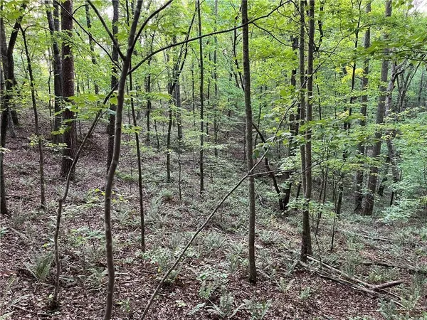 $12,000 | 1720 Rebekah Ridge Road, Talking Rock, GA 30175