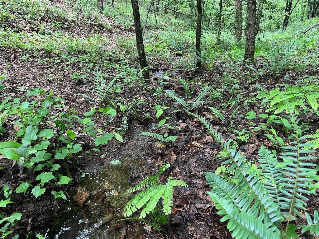 1720 Rebekah Ridge Road Talking Rock, GA 30175 - Photo 2 of 14
