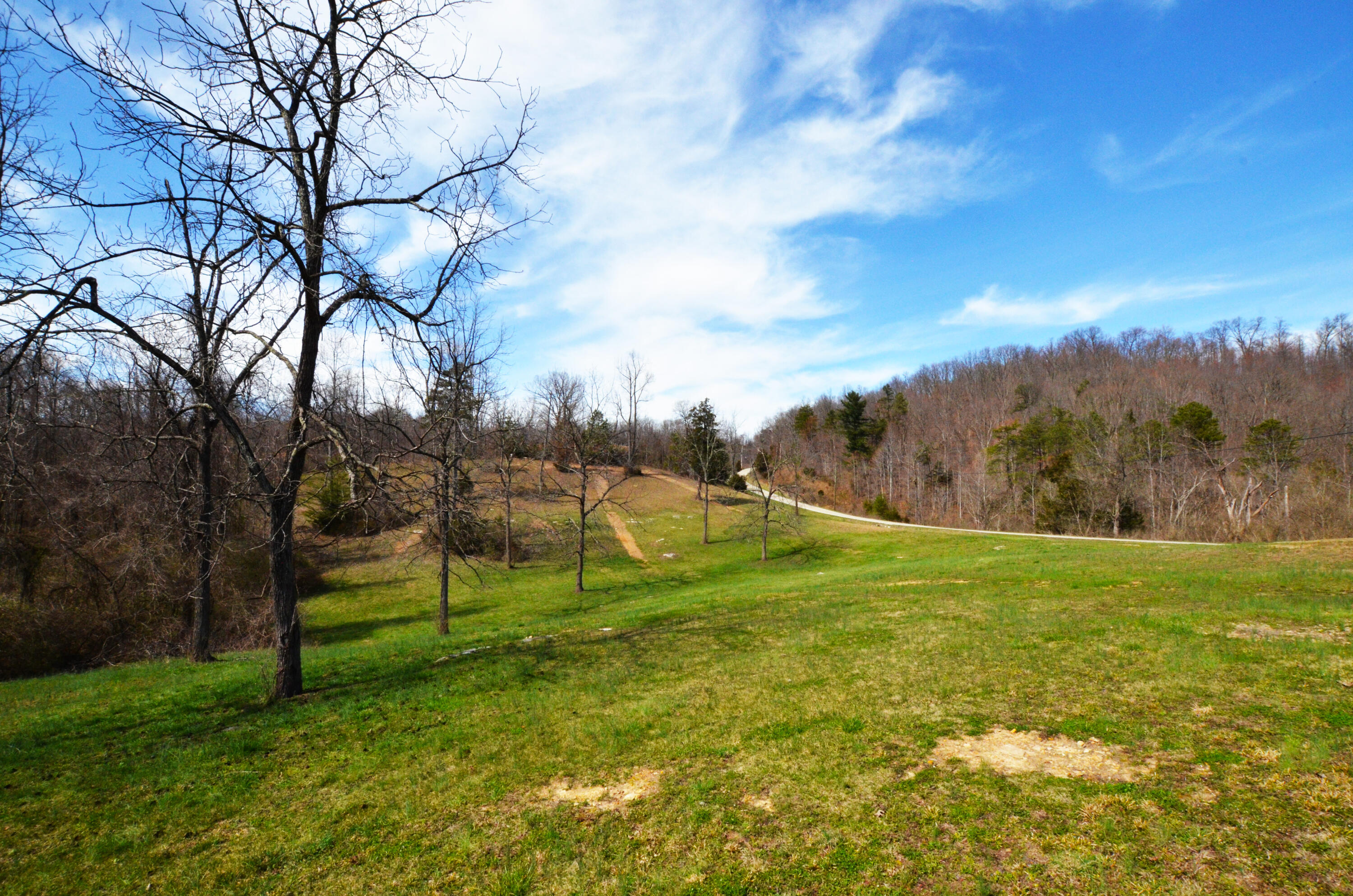 615 Bobby Miller Road Irvine, KY 40336 - Photo 4 of 50 City water avaiable!
