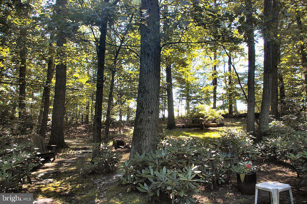 411 Custis Road Glenside, PA 19038 - Photo 5 of 52 Gallery Image 5