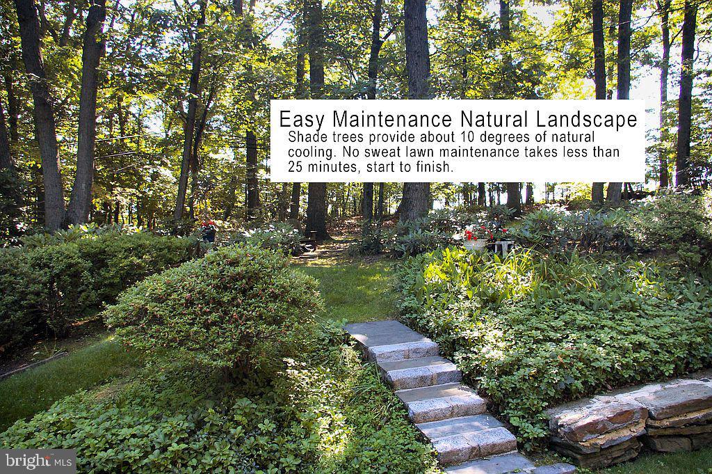 411 Custis Road Glenside, PA 19038 - Photo 7 of 52 Gallery Image 7