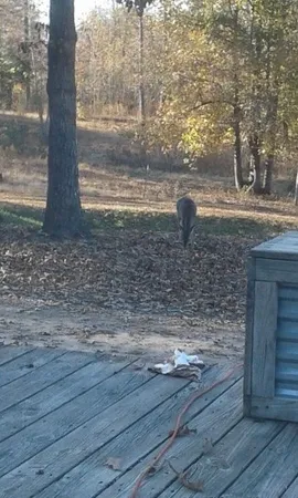 $190,000 | 505 Winding Way, Saltillo, TN 38370