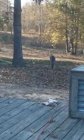 $200,000 | 505 Winding Way, Saltillo, TN 38370