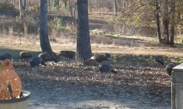 $200,000 | 505 Winding Way, Saltillo, TN 38370