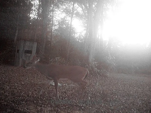 $190,000 | 505 Winding Way, Saltillo, TN 38370