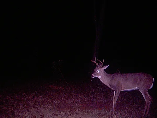 $190,000 | 505 Winding Way, Saltillo, TN 38370