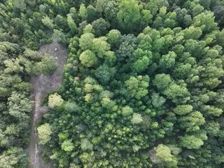 $200,000 | 505 Winding Way, Saltillo, TN 38370