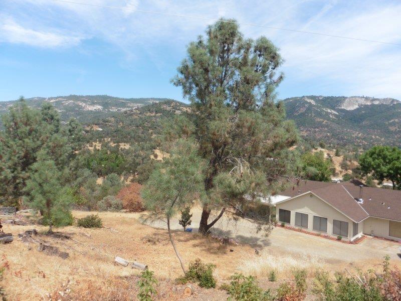 36842 Lodge Road Tollhouse, CA 93667 - Photo 2 of 43 Gallery Image 2