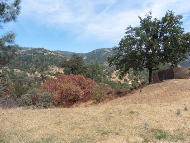 36842 Lodge Road Tollhouse, CA 93667 - Photo 4 of 43 Gallery Image 4