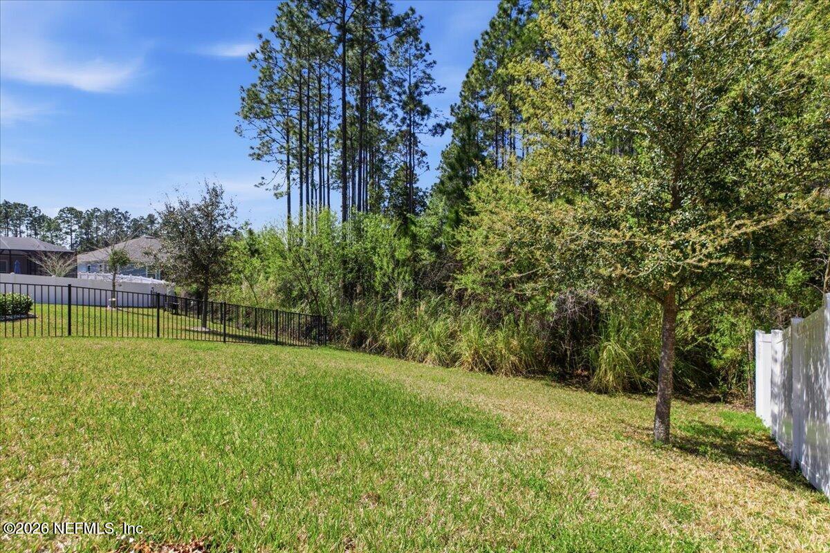 51 Tree Frog Way St. Augustine, FL 32095 - Photo 20 of 21 a view of a field with a tree