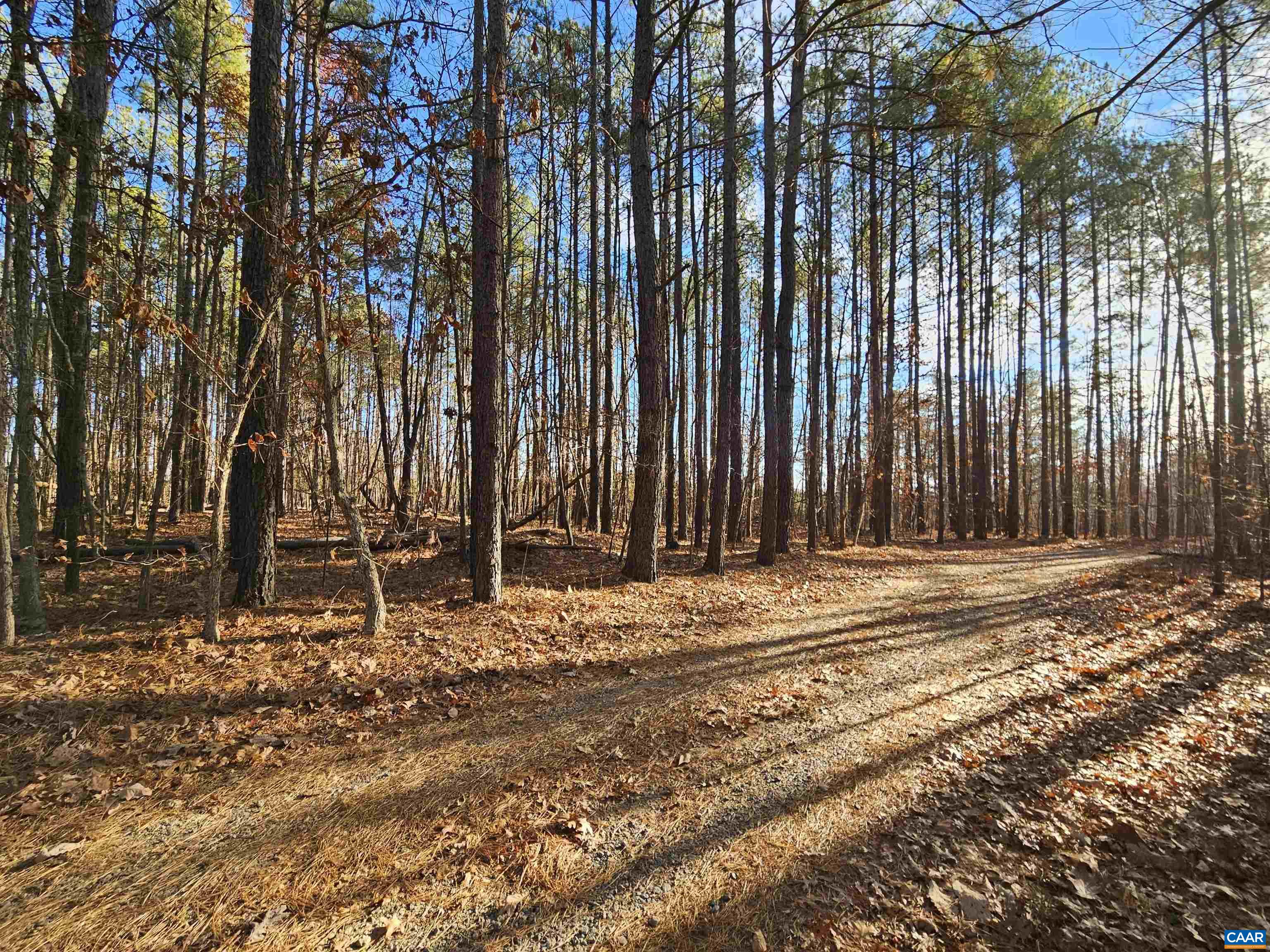 Tbd Spencer Road Dillwyn, VA 23936 - Photo 11 of 14 a view of outdoor space with trees