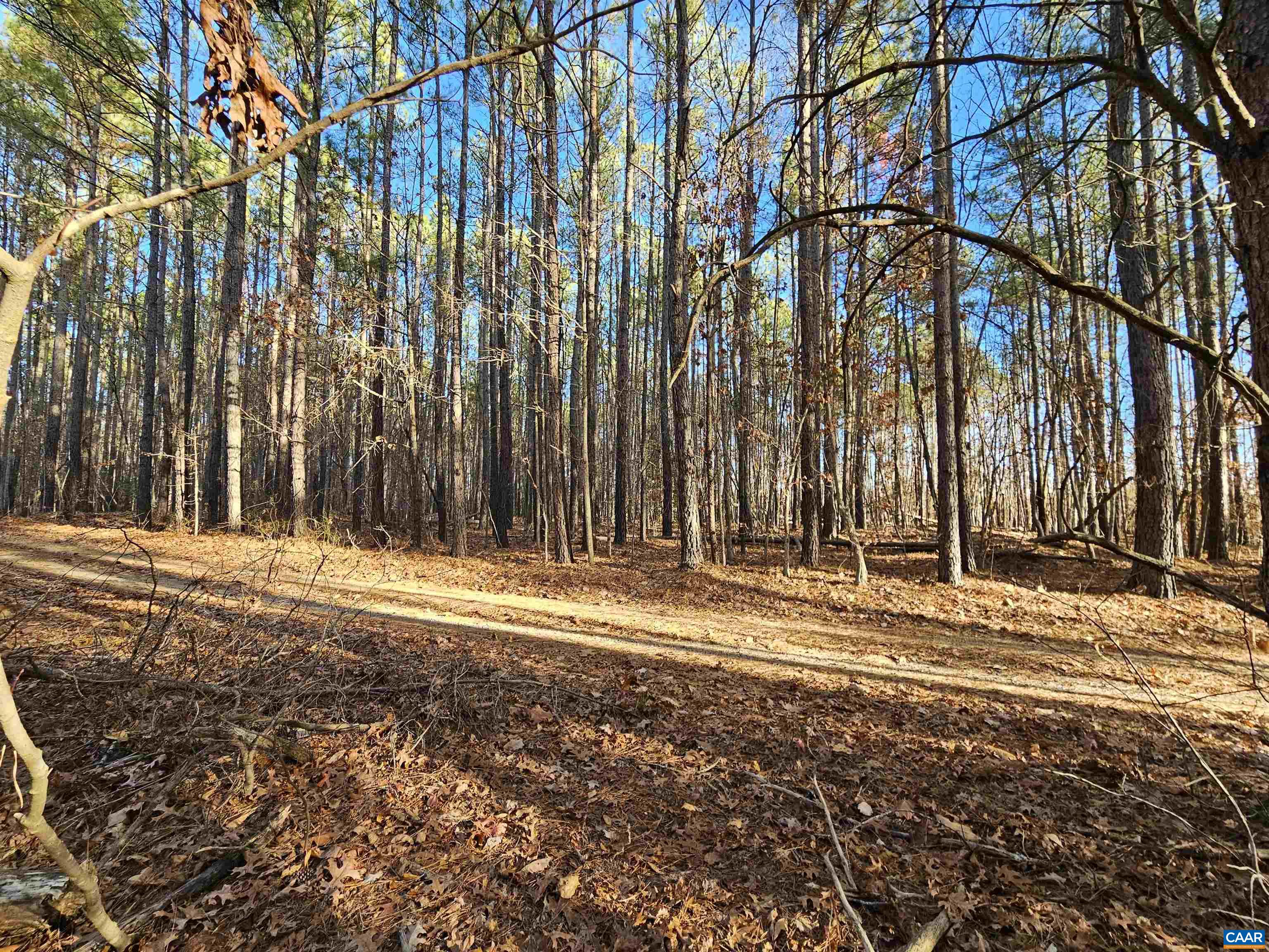 Tbd Spencer Road Dillwyn, VA 23936 - Photo 13 of 14 a view of street along with trees