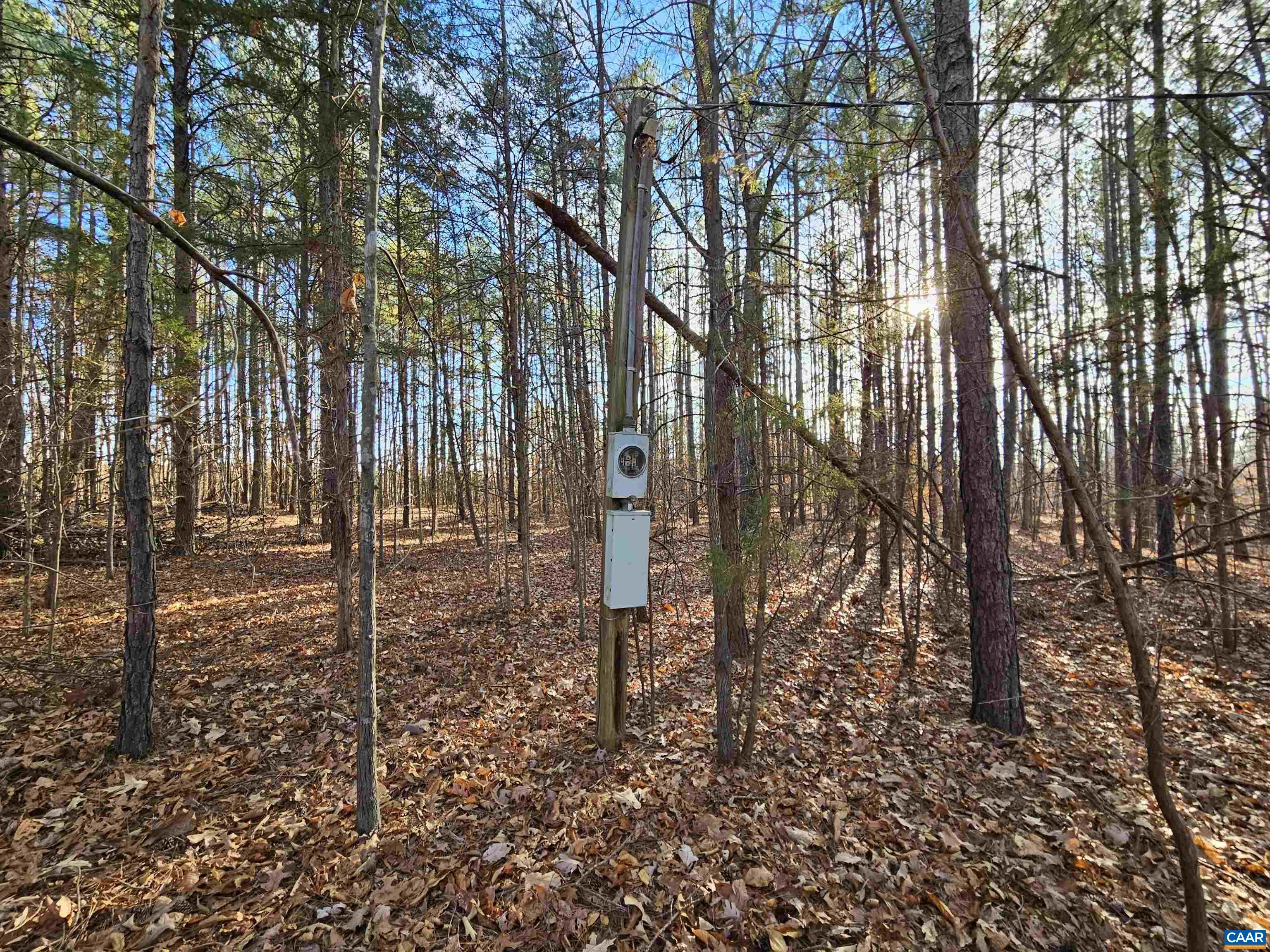 Tbd Spencer Road Dillwyn, VA 23936 - Photo 3 of 14 a backyard of a house with lots of green space