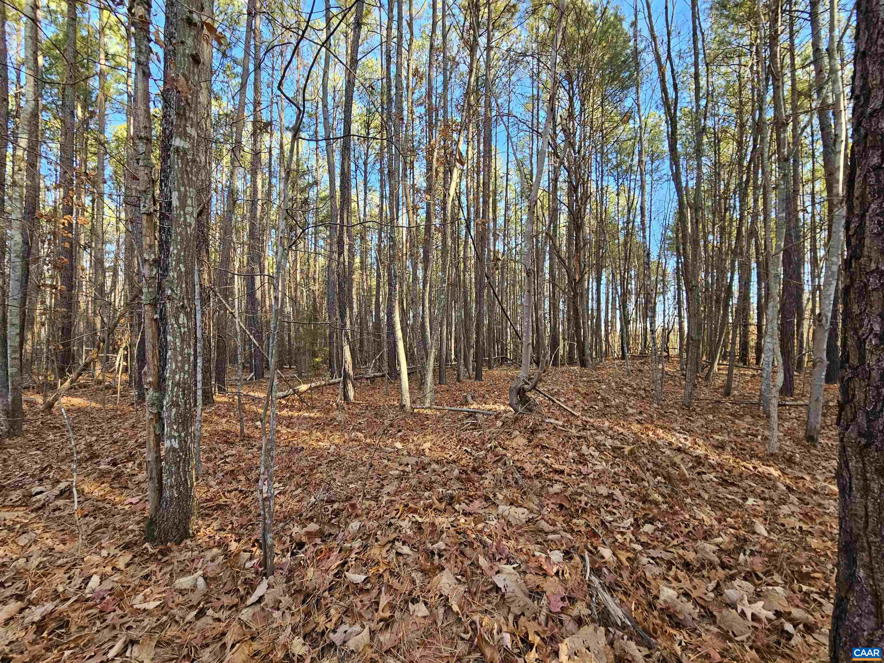 Tbd Spencer Road Dillwyn, VA 23936 - Photo 4 of 14 a view of outdoor space with wooden fence