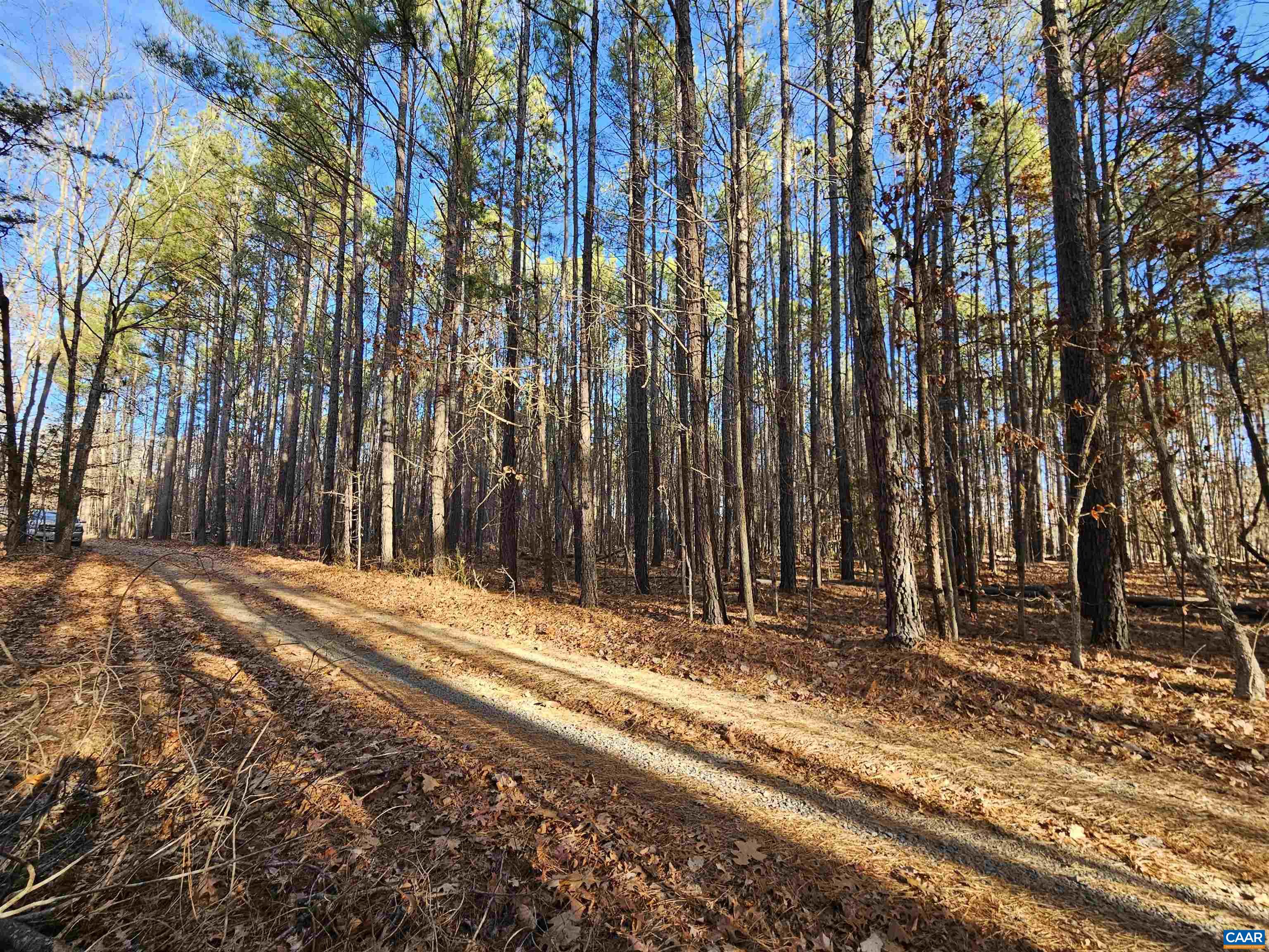 Tbd Spencer Road Dillwyn, VA 23936 - Photo 5 of 14 a view of a backyard of the house