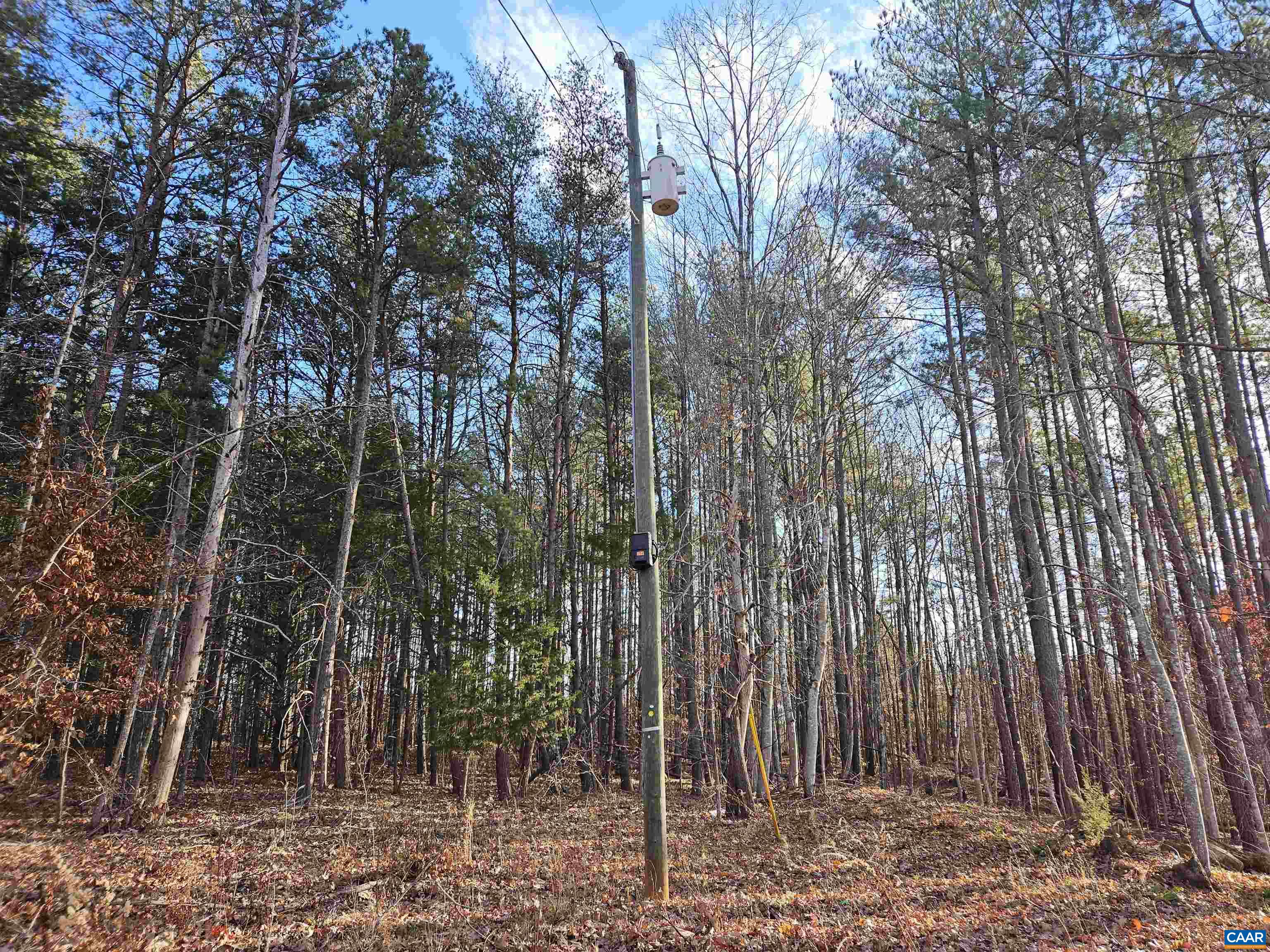Tbd Spencer Road Dillwyn, VA 23936 - Photo 6 of 14 a view of a backyard