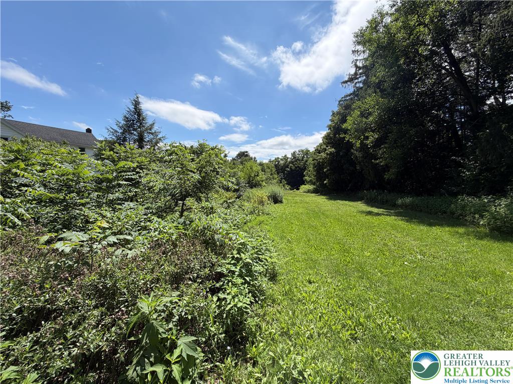5720 Memorial Road Germansville, PA 18053 - Photo 26 of 29 A spacious green lawn extends towards a dense line of mature trees under a brilliant blue sky.