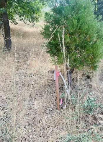 a view of a pathway with a yard