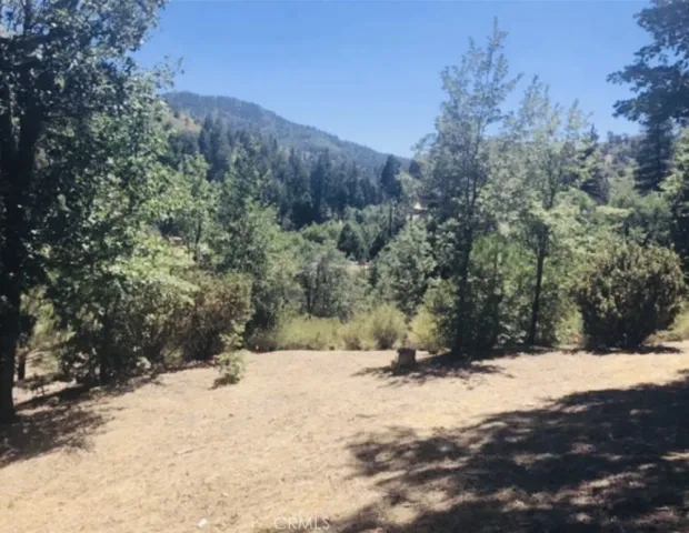 a view of a yard covered in snow