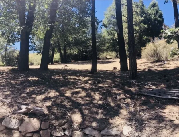 a view of a tree in the middle of a yard