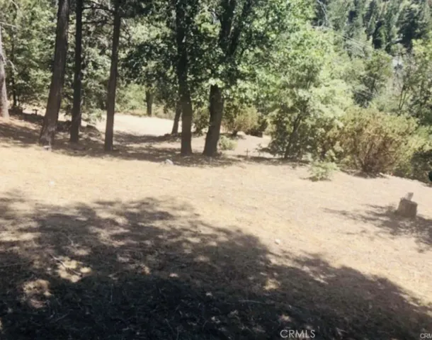 a view of road and trees
