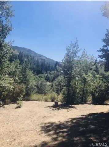 a view of a yard with a tree